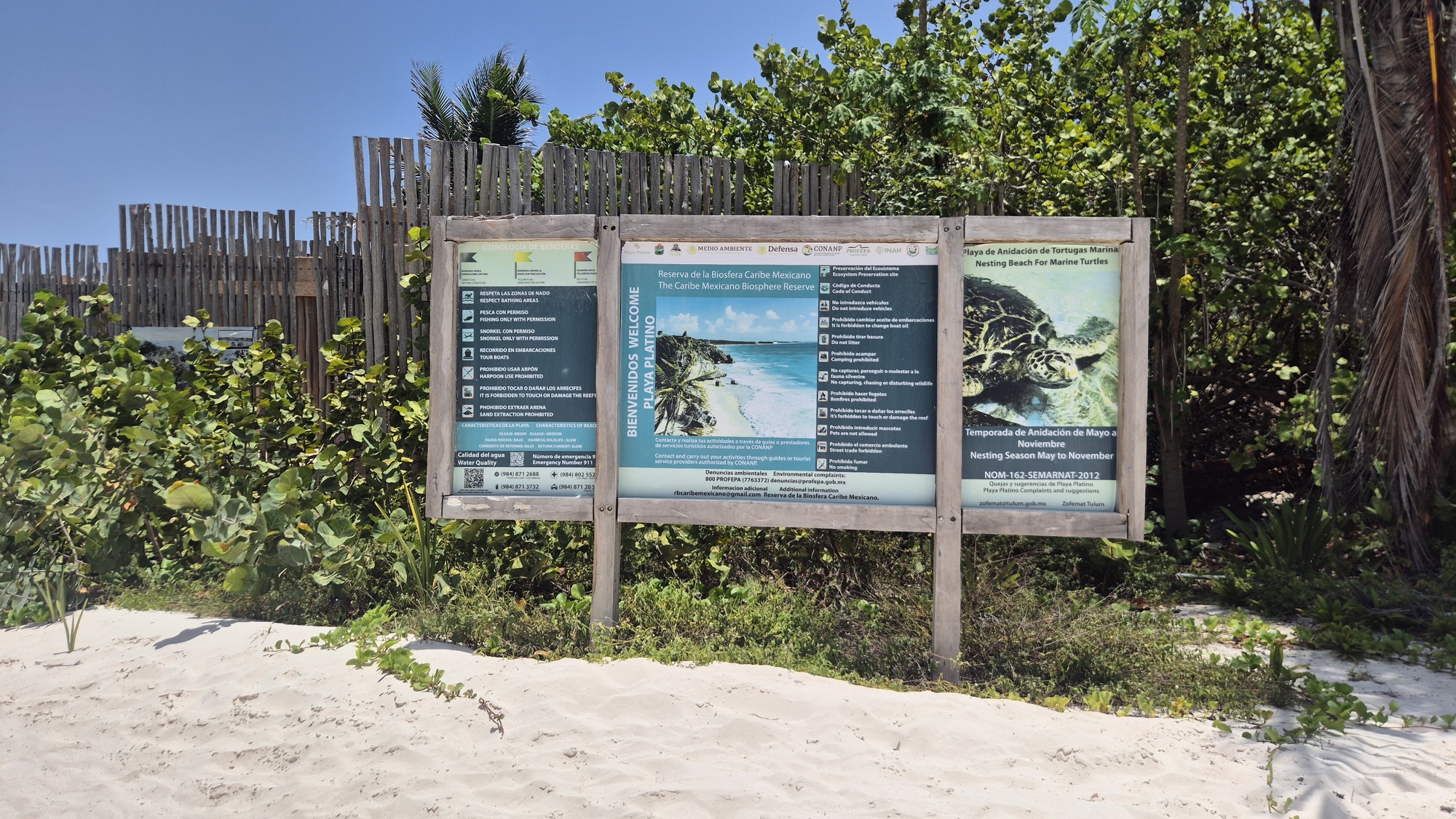 Rol de la Sedena en Áreas Naturales Protegidas, Tulum, 8/2026