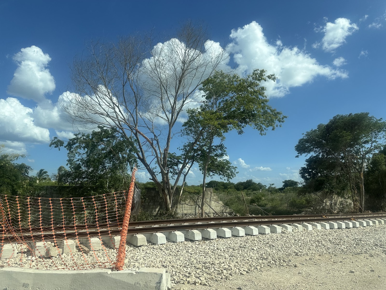 Vías ferroviarias en construcción entre vegetación y cielo despejado