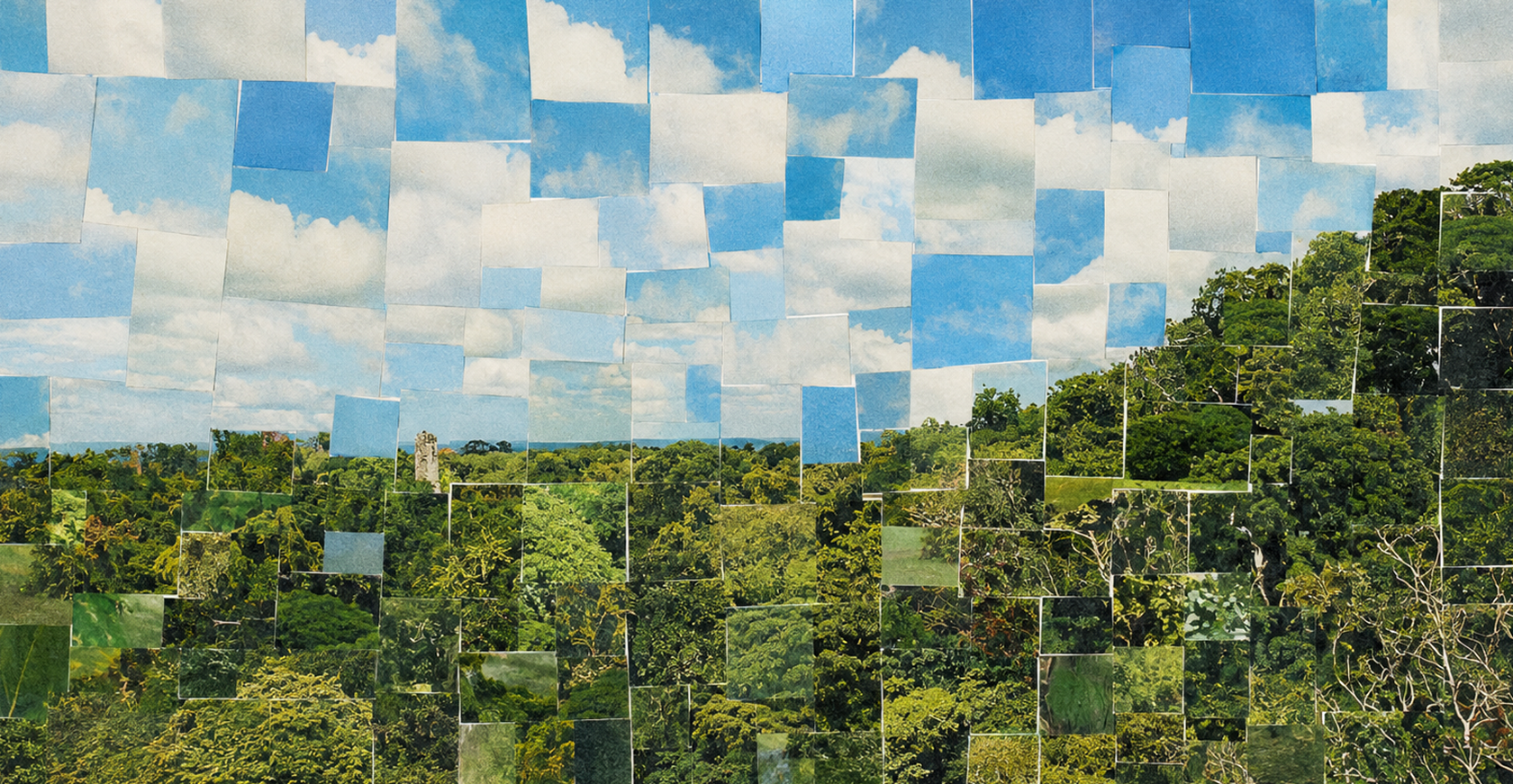 Collage de fragmentos de cielo y selva