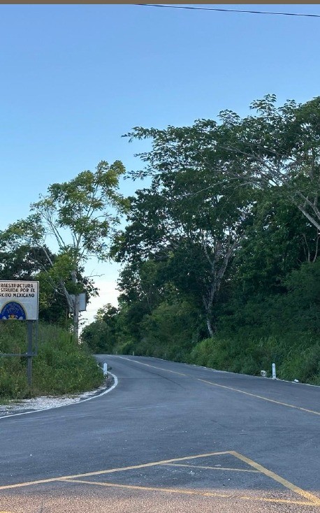 Carretera entre vegetación con señalética de infraestructura militar